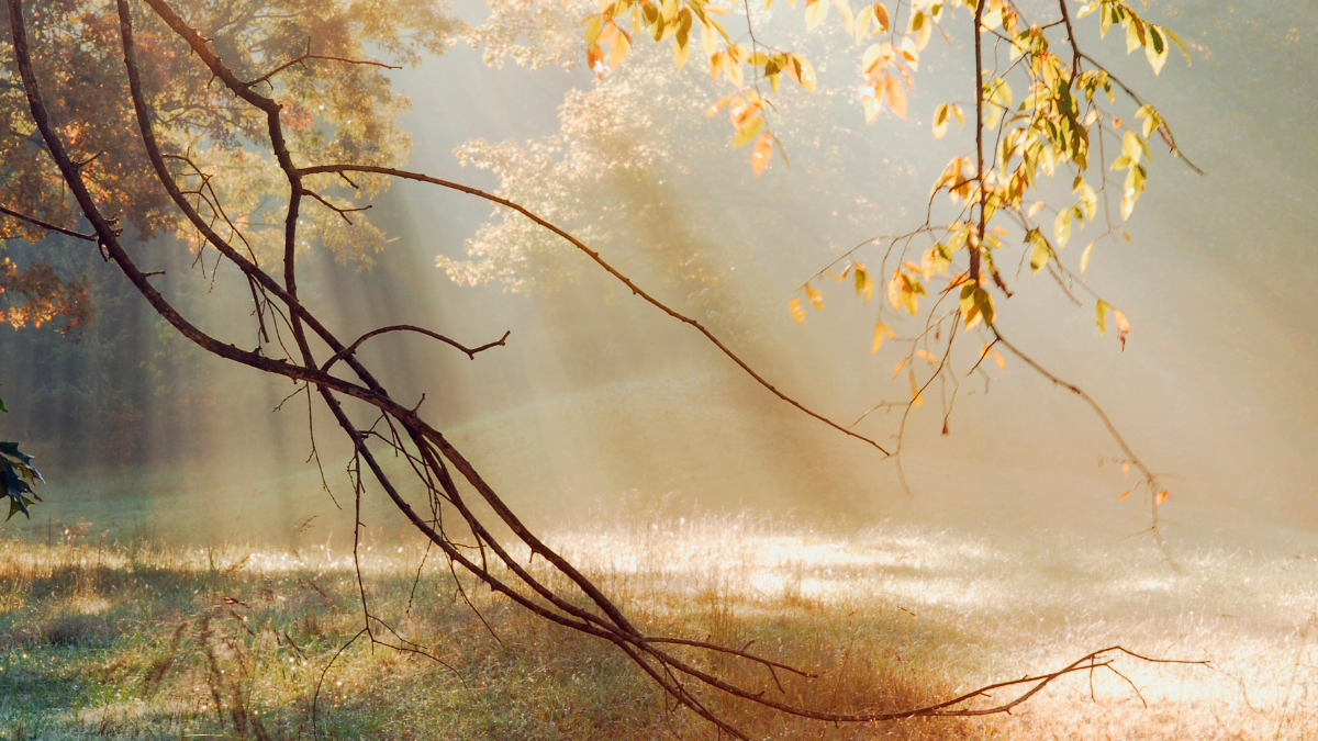 Unbenannter Beitrag 3036