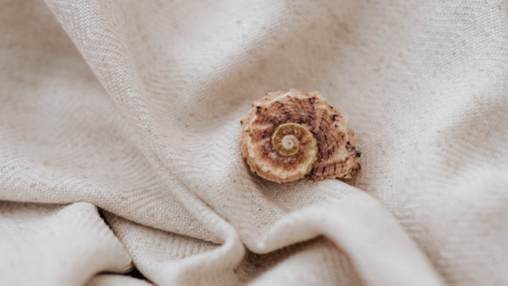 Eine kleine Schnecke auf weichem Stoff als Symbol für Geduld und natürliche Zyklus-Regulierung bei Kinderwunsch nach der Pille.