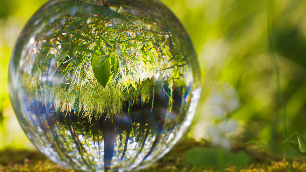 Hormonregulation-Akademie-Heike-Votteler Naturheilkundliche Hormonregulation bei Estradioldominanz und Progesteronmangel – Ganzheitlicher Ansatz für Stoffwechsel und Schilddrüse.